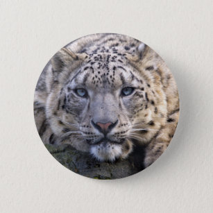 Vishnu Schnee-Leopard-Abzeichen Button