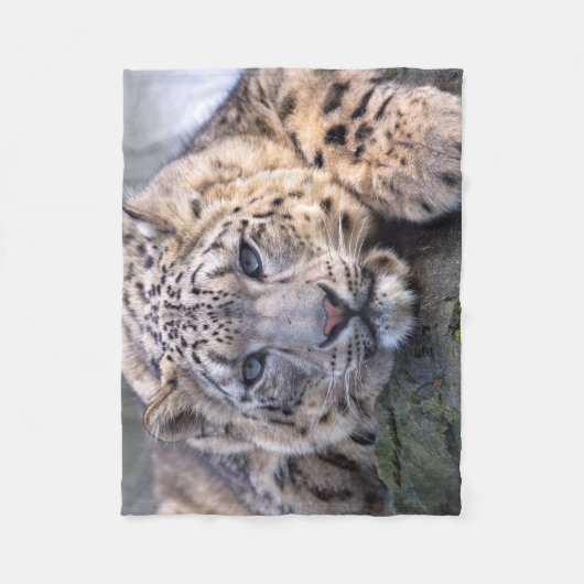 Vishnu Schnee-Leopard-Fleece-Decke Fleecedecke (Vorderseite)