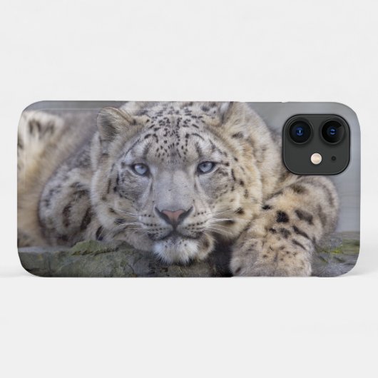 Vishnu Snow Leopard iPhone 11 Fall Case-Mate iPhone Hülle (Rückseite (Horizontal))