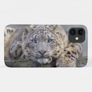 Vishnu Snow Leopard iPhone 11 Hülle