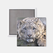 Vishnu Snow Leopard Magnet (Vorderseite/Rückseite)