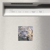Vishnu Snow Leopard Magnet (In Situ (Geschirrspüler))