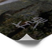 Vishnu Snow Leopard Print Poster (Ecke)