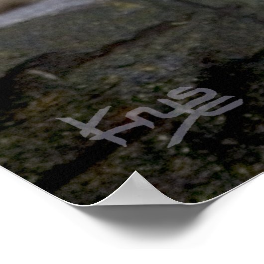 Vishnu Snow Leopard Print Poster (Ecke)