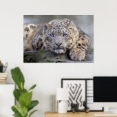 Vishnu Snow Leopard Print Poster (Heimbüro)