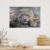 Vishnu Snow Leopard Print Poster (Küche)