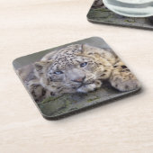 Vishnu Snow Leopard Set von 6 Untersetzer (Linke Seite)