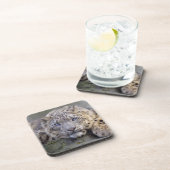 Vishnu Snow Leopard Set von 6 Untersetzer (Rechte Seite)