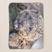 Vishnu Snow Leopard Sherpa Blanket Sherpadecke (Vorderseite)