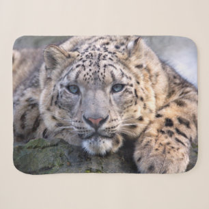Vishnu Snow Leopard Sherpa Blanket Sherpadecke