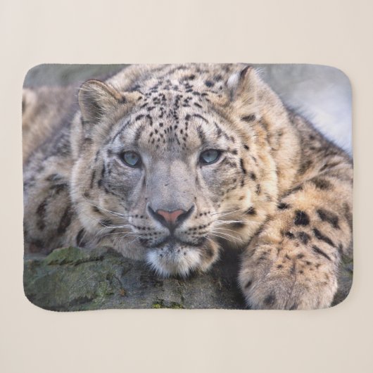 Vishnu Snow Leopard Sherpa Blanket Sherpadecke (Vorderseite (Horizontal))