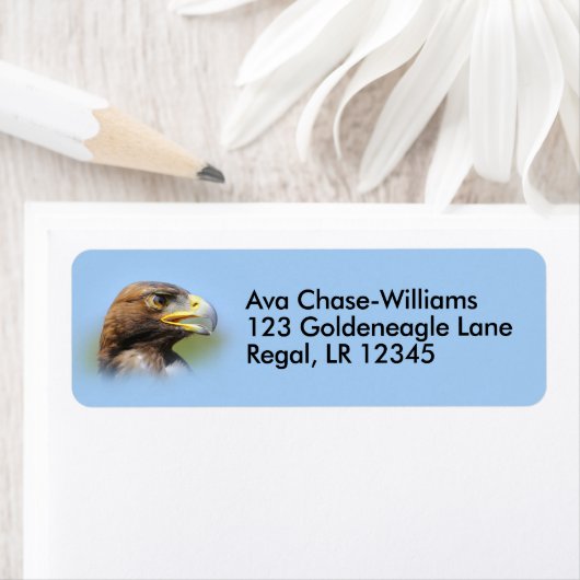 Vision eines schönen jungen Goldenen Adlers (Insitu)