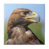 Vision eines schönen jungen Goldenen Adlers Fliese (Vorderseite)