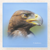 Vision eines schönen jungen Goldenen Adlers Glasuntersetzer (Vorderseite)