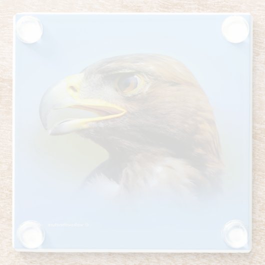 Vision eines schönen jungen Goldenen Adlers Glasuntersetzer (Rückseite)