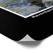 "Vision Quest" Grauer Wolf Wildlife Foto Poster (Ecke)