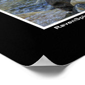 "Vision Quest" Gray Wolf Foto Poster (Ecke)