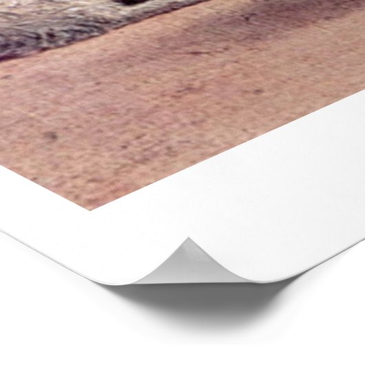 Vision von St. Augustine von Vittore Carpaccio Poster (Ecke)