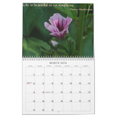 Visionen der Natur Kalender (Mär 2026)