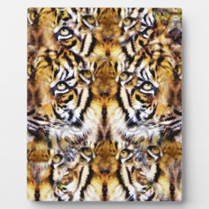 Visionen_ Fotoplatte