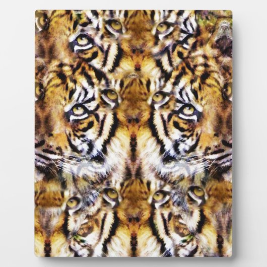 Visionen_ Fotoplatte (Vorderseite)