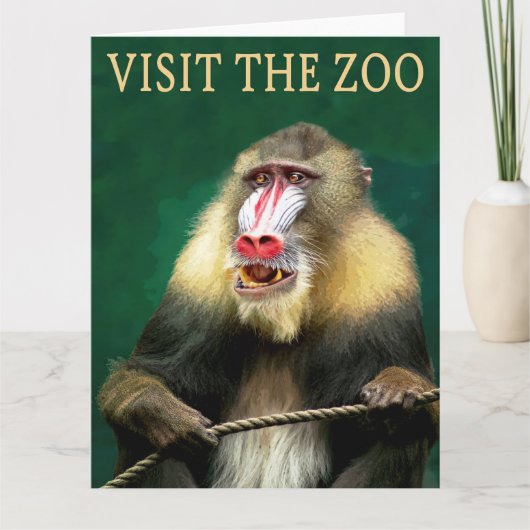 Visit The Mandrill At The Zoo Karte (Vorderseite)