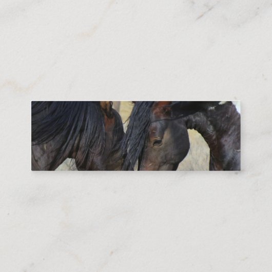 Visitenkarte (Rückseite)