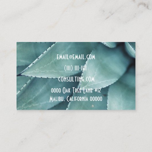 Visitenkarte (Rückseite)