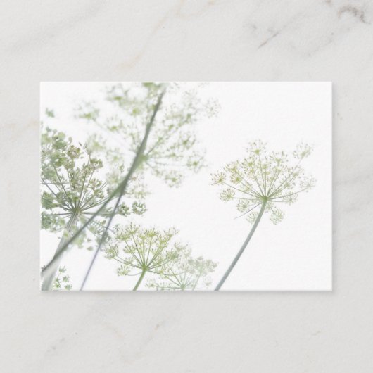 Visitenkarte (Vorderseite)