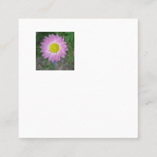 Visitenkarte (Rückseite)