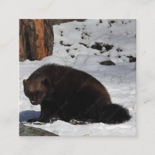 Visitenkarte (Vorderseite)