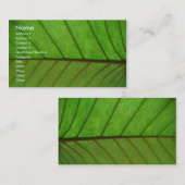 Visitenkarte auf einem Blatt (Vorne/Hinten)