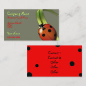 Visitenkarte Dame Bug (Vorne/Hinten)