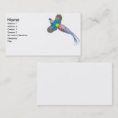 Visitenkarte Damen-Amherst Pheasant (Vorne/Hinten)