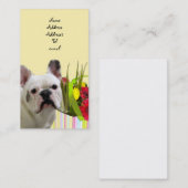 Visitenkarte der französischen Bulldogge (Vorne/Hinten)