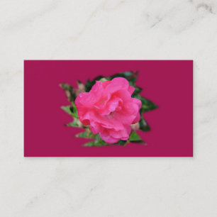 Visitenkarte der Zusammenarbeit, rosa Rose