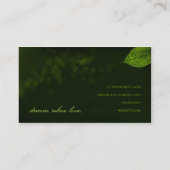 Visitenkarte des Blatt-311-Dream (Rückseite)