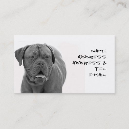 Visitenkarte Dogue de Bordeaux (Vorderseite)
