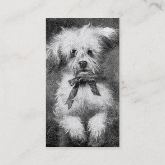 Visitenkarte Fluffiger Hund (Vorderseite)