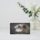 Visitenkarte für Cattery Ragdoll (Stehend Vorderseite)
