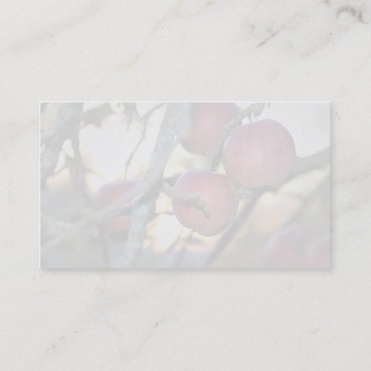 Visitenkarte für das Wasserzeichen-Foto des Fotogr (Rückseite)