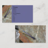 Visitenkarte für Naturfotografie (Vorne/Hinten)