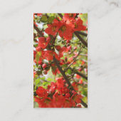 Visitenkarte für Rote Blüten (Rückseite)