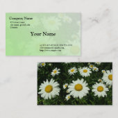 Visitenkarte für Wildwhite daisy-Blume (Vorne/Hinten)