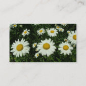 Visitenkarte für Wildwhite daisy-Blume (Rückseite)