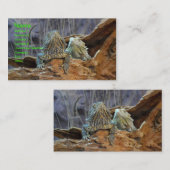 Visitenkarte mit zwei seltsamen Eidechsen (Vorne/Hinten)