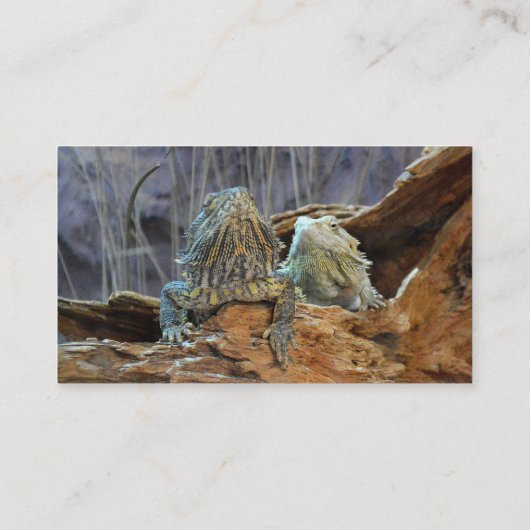 Visitenkarte mit zwei seltsamen Eidechsen (Rückseite)