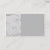 Visitenkarte Pitbull-Terriers (grau) - (Rückseite)