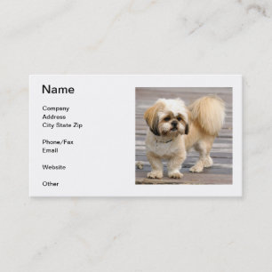 Visitenkarte Shih Tzu