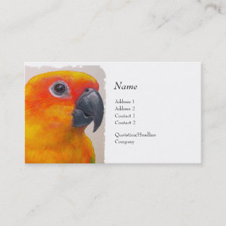 Visitenkarte - Sun Conure